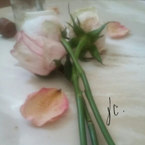 Meet your Posher, Liz - Picture 4 of 5